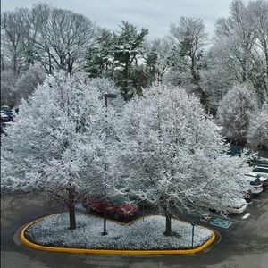 Meet your Posher, Tj